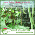 2016 Touchhealthy supply long harvest periold,best seeds species to plant in greenhouse green bean seeds